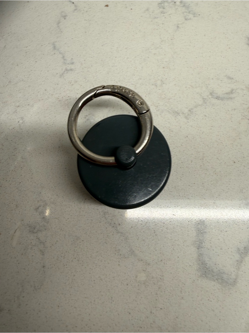 Lion latch ring holder